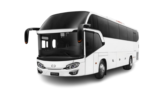 Bus Pariwisata